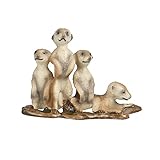 JOKFEICE Tierfiguren Realistische Kunststoff Erdmännchen Tier Action Modell Wissenschaft Projekt Lernen pädagogisches Spielzeug Geburtstag Geschenk Kuchen Topper für Kinder Kleink