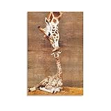 Poster mit Giraffen-Motiv 'The First Kis-s Giraffe', 30 x 45