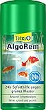 Tetra Pond AlgoRem - 24-Stunden-Soforthilfe gegen grünes Wasser im Gartenteich, bekämpft Schwebealgen, 500 ml F