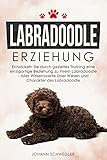 Labradoodle Erziehung: Entwickeln Sie durch gezieltes Training eine einzigartige Beziehung zu Ihrem Labradoodle - Alles Wissenswerte über Wesen und Charakter des Lab