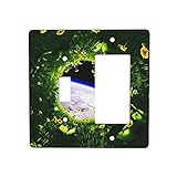 ZORIN Kombinations-Wandplatten-Abdeckung, kreativer Blick, Blume, Rasen, 2-fach Lichtschalter-Abdeckungen, 11,4 x 11,4
