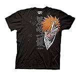 Bleach Ichigo Closeup Anime Adult T-S