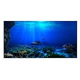 Aquarium, HD-Hintergrund, Unterwasser, Coral Reef Fototapete, Aquarium, Meer, Fisch, Wand, XXL, Unterwasserwelt, Wanddekoration (122 x 50 cm)
