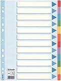 Esselte Register für A4, Deckblatt und 12 Trennblätter mit Taben, Blau/Mehrfarbig, Recyclingkarton, 100194