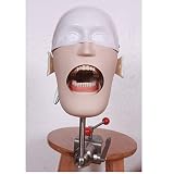 LMEIL Dentalsimulator Phantomkopf-Training, Modellpuppen-Phantom in Lebensgröße mit Zähnen Modell-Training für Zahnärzte und Zahnarzthelfer sowie Hygienik