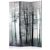 murando Raumteiler Foto Paravent Wald Bäume 135x172 cm beidseitig auf Vlies-Leinwand Bedruckt Trennwand Spanische Wand Sichtschutz Raumtrenner Design Betonoptik wie gemalt b-C-0986-z-b