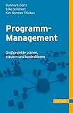 Programm-Management: Großprojekte planen, steuern und k