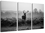 Hirsch - schwarz/weiss Motiv mit Farbelementen, 3-teilig auf Leinwand (Gesamtformat: 120x80 cm). Hochwertiger Kunstdruck als Wandbild. Billiger als ein Ölbild! ACHTUNG KEIN Poster oder Plakat!