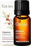 Gya Labs Zypresse Ätherisches Öl für Schmerzlinderung und Atmung - Reine Zypressenöl für Hautpflege - 100 Naturreine für Diffuser Aromatherapie, Aromaöl und Duftöl - 10