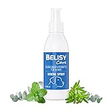 BELISY Dentalspray für Hunde - 200 ml - Zahnpflege Spray gegen Zahnstein & Mundgeruch - Zahnspray mit Minze - Z