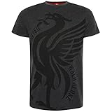 Liverpool FC Authentic EPL YNWA T-Shirt - Schwarz - M