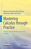 Mastering Calculus through Practice: A Study Guide with over 300 Solved Ex