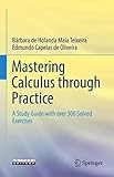 Mastering Calculus through Practice: A Study Guide with over 300 Solved Ex