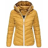 Winterjacke Damen Kurz mit Kapuze Warm Schwarz Daunenmantel Daunenjacke Winterparka Wintermantel Daunen Jacke Fleece Parka Plüschmantel Fleecemantel Übergangsjacke Fleecejacke Steppmantel Steppjack