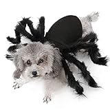 BT Bear - Halloween-Kostüm für Hunde und Katzen, Spinnen-Desig
