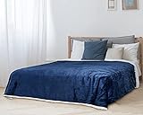 Sherpa Decke Queen Size Bettwäsche Grau Fleece Wendedecke Plüsch Decke für Bett und Couch, super weich, bequem, warm, flauschig (228 x 228 cm)
