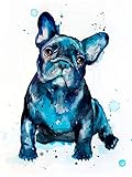 Malen nach Zahlen Kits für Erwachsene und Kinder Diy Ölgemälde Digital ﹣ Französische Bulldogge Haustier Hund Tier - 16 * 20 in (rahmenlos)