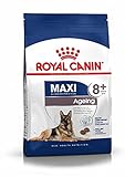 Royal Canin Size Maxi Ageing 8+, 1er Pack (1 x 15 kg)