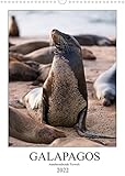 Galapagos - Atemberaubende Tierwelt (Wandkalender 2022 DIN A3 hoch)