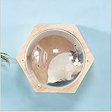 YSJJNDH Katzenbaum DIY.Wandmontierte Katze Bett Katze Wandregal Katze Regal Bett Katze Baum Katze Hexagon Haus Katze Wandkomplle (Color : Transparent Cabin)