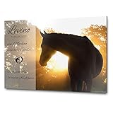 Pferdeschild Boxenschild mit Foto und Wunschtext | AluDidond Alu Verbundplatte | 30x20 cm | sofort personalisierbar | inkl. Brandzeichen & M