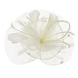 FakeFace Fascinator Hüte mit Feder Blumen Haar Clip Haarreif Haar Accessoire Netz-Mütze Schleier Tea Party Hochzeit Kirche Haarschmuck Kopfschmuck Kopfbedeckung für Frauen,beig