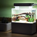 KHTO Mini Kunststoff Aquarium Portable Desktop Aquarium Fischschale mit Wasserfiltration LED & Leise Luftpumpe für Dekor (Schwarzes mit LED-Licht)