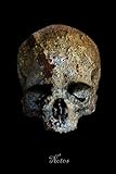 Notes: Rusty Skull. Striking skull notebook, diary or journal. Format 15.24 x 22.85 cm (approx. A5), 120 pages, 100 of which have fine light-gray ... of all kinds. A notebook