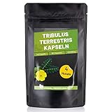 Fitness Vital Tribulus Terrestris Kapseln mit 95% Saponinen hochdosiert vegan | 240 Saponine Kapseln Tribulus-Terrestris | Östrogen Blocker für Männer Frauen | Testosteron Booster Muskelaufb