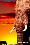 Terminplaner 2022: Elefanten Sonnenuntergang Design Jahresplaner und Kalender von Januar bis Dezember 2022 mit Ferien, Feiertagen und Monatsübersicht - Organizer und Zeitplaner für 1 J