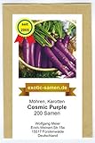 Möhre - Karotte - Cosmic Purple - 200 S