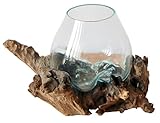 Geschenk Deko Gamal Wurzelholz B-WARE Glasvase Ø Glas 12-13 cm Wurzel Holz Teakholz Vase Glas S