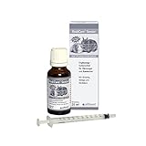 Alfavet, RodiCare®Senior Einheit: 20 ml Ergänzungsfuttermittel für Kaninchen, Meerschweinchen und Kleinnager Mit Ginseng, Ginkgo und Weiß