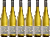 Matheus Riesling Kabinett 2020 Süß (6 x 0.75 l)