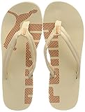 PUMA Unisex Epic Flip V2 Flipflop, Beige (Shifting Sand-Pheasant), 40.5 EU