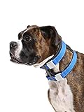 Cesar Millan Pack Leader Collar™ - Trainingshalsband des Hundeflüsterers (Mittel)