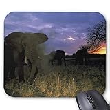 Mauspad mit seidenweicher Textiloberfl?che - Mouse Pad Paradise (antistatische Wirkung - perfekte Gleiteigenschaft PC / Computer Mousepad)-afrika tansania afrikanischer elefant bei sonnenuntergang