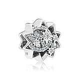 LIIHVYI Pandora Damen Charms 925 Sterling Silber Wenn Sie Sich EIN Star-Geschenk Wünschen DIY Schmuck Für Pandora Und Andere Europäische Armbänder & Halsk