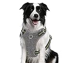 Pecute Hundegeschirre Einstellbar Laufgeschirre mit Reflektoren, Nylon Brustgeschirre für groß Hunde, Sicherheitsgeschirre No-Pull Geschirr für Hund Anti Zug mit Kontrollegriff, Grau Max.40 kg