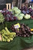 Turkish Vegetable Market Stall Notebook: Notebook