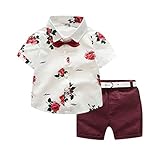 Briskorry Infant Baby Jungen Kurzarm Cartoon Animal Print Hawaii Hemd und Kurze Hose Sommer T-Shirt Shorts Gentleman Anzug Freizeit Shorts Pants Sommer-Outfits Strand Urlaub Kleidung Set 1-5J