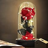 Die Schöne und das Biest Rose Geschenk Kit, rote Seide Rose und LED-Licht mit gefallenen Blütenblättern Geschenke für Hauptdekor Geburtstag, Hochzeit, Valentinstag, Muttertag, Jubiläum, Weihnachtstag