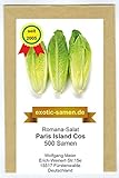 Romana-Salat - Paris Island Cos (500 Samen)