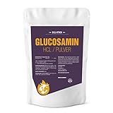 GLUCOSAMIN HCL Pulver | 100% Rein ohne Zusatzstoffe | auch für Tiere (Pferde, Hunde usw) geeignet | Premium Qualität (500g)