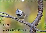 Vögel in Deutschland (Wandkalender 2022 DIN A4 quer)