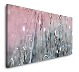 Paul Sinus Art Winterpflanzen 120x 60cm Panorama Leinwand Bild XXL Format Wandbilder Wohnzimmer Wohnung Deko Kunstdruck