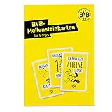 Borussia Dortmund BVB-Meilensteink