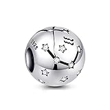 NINGAN der Wassermann 12 Sternzeichen Geburtstag Anhänger – 925 Sterlingsilber Anhänger für Armband & Halskette – Ideale Geburtsgeschenke für Frauen & F