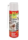 COMPO Ameisen-Spray, Insektenspray mit Schlaufverlängerung, 400