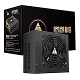 GOLDEN FIELD GPG550W